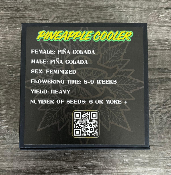 Pineapple Cooler