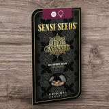 BIG BERRY BLISS FIRMINIZED SEEDS - Image 4