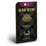 BIG BERRY BLISS FIRMINIZED SEEDS - Image 2