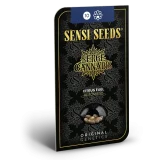 CITRUS FUEL AUTOFLOWERING SEEDS - Image 3
