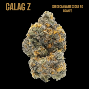 https://sergecannabis.com/wp-content/uploads/2025/04/GaryPaytonHH-2-300x300.png
