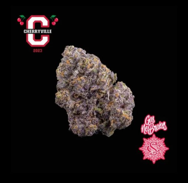 SERGE CANNABIS X GNB  CHERRYVILLE