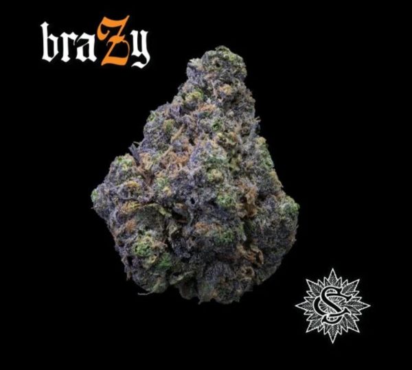 SERGE CANNABIS BRAZY