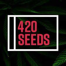 REGULAR MARIJUANA SEEDS 420 SEEDS