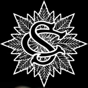 https://sergecannabis.com/wp-content/uploads/2025/05/proxy-image25-300x300.jpg